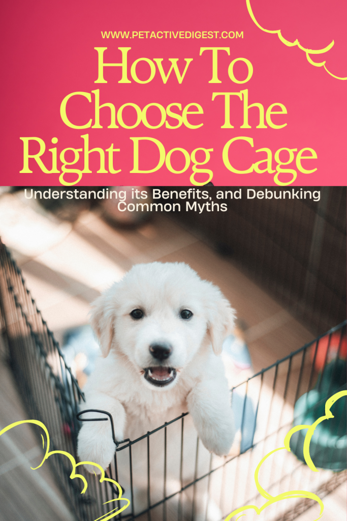 How to Choose the Right Dog Cage